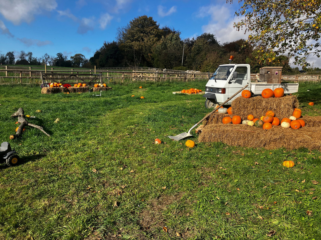 拜伯里鳟鱼养殖场-拜伯里必去景点