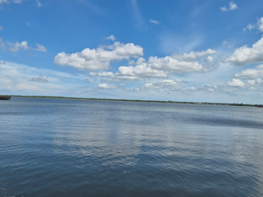 Ecoparque Ciénaga De Mallorquín-Barranquilla必去景点