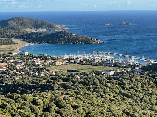 Hôtel le Tomino主图