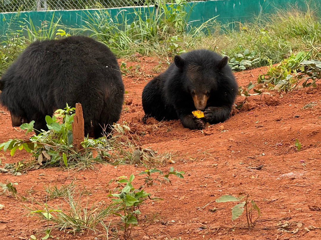 Luang Prabang Wildlife Sanctuary-琅勃拉邦必去景点