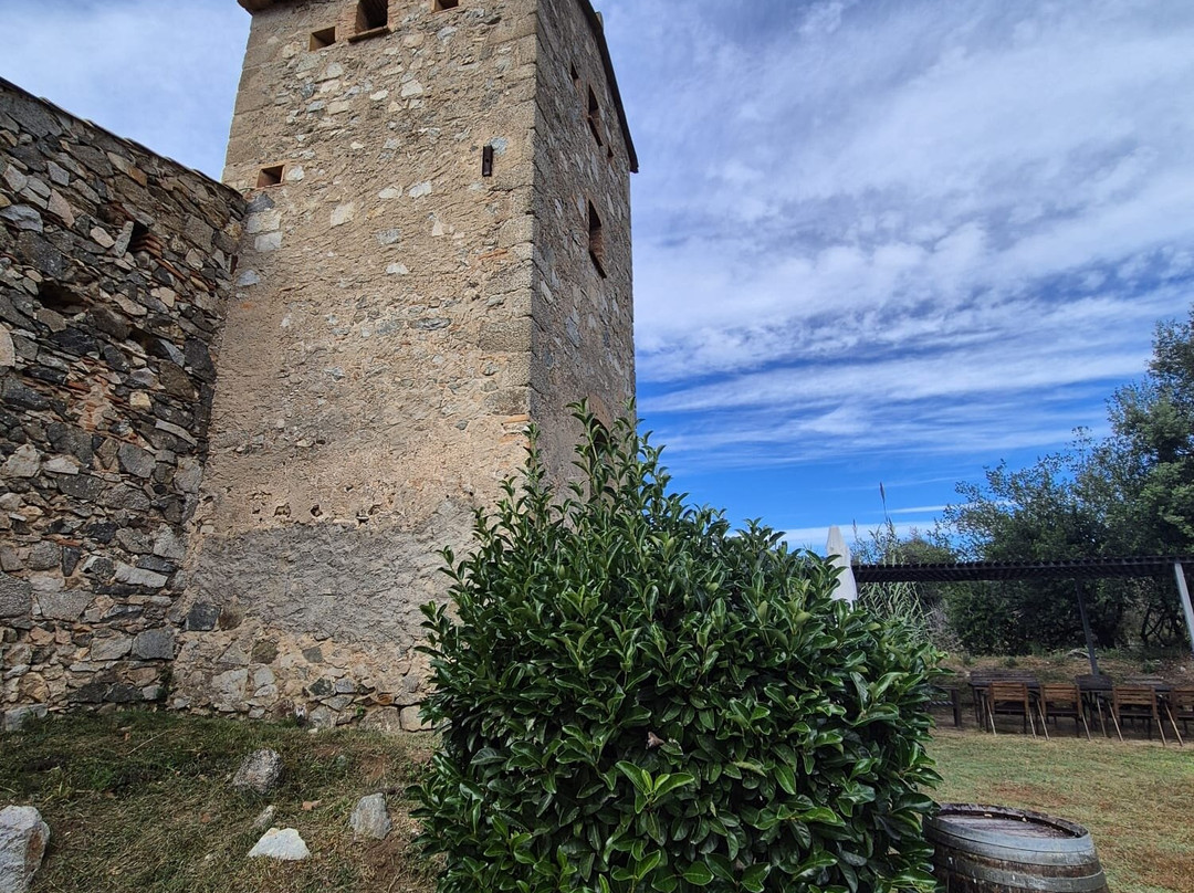 Bouquet d'Alella-Alella必去景点