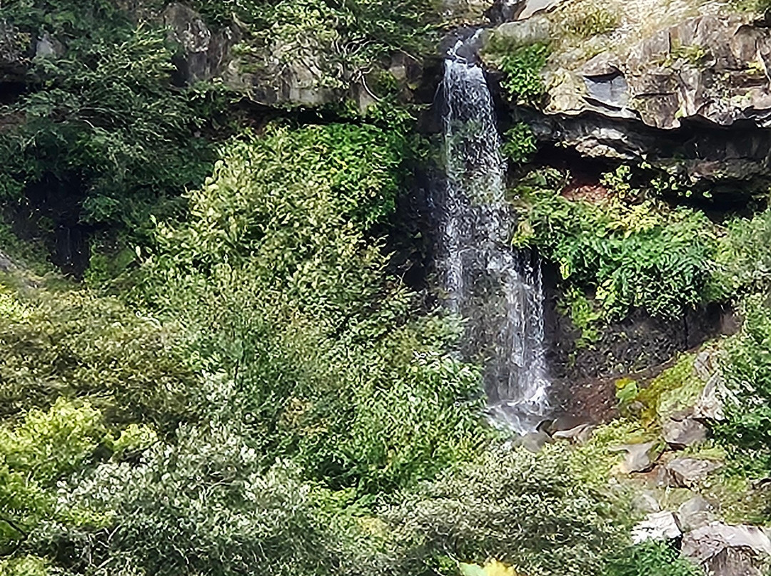 Irohazaka Route-日光市必去景点