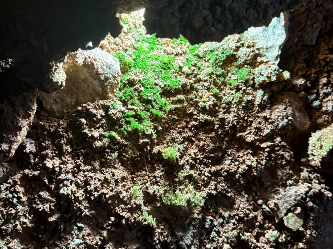 Cosmic Cavern-Berryville必去景点