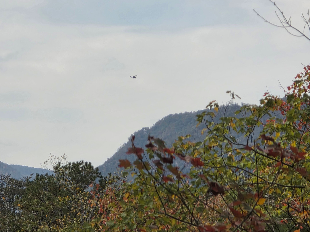 Canopy Ridge Farm-Lake Lure必去景点