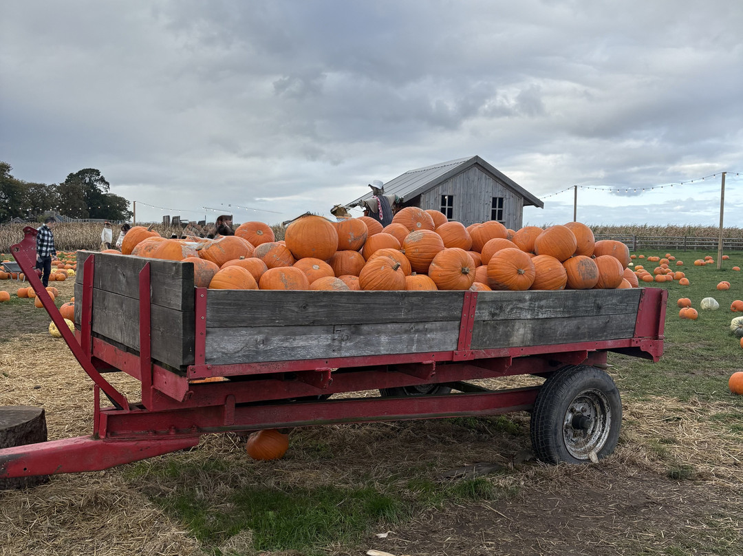 Wheelock Hall Farm-Sandbach必去景点