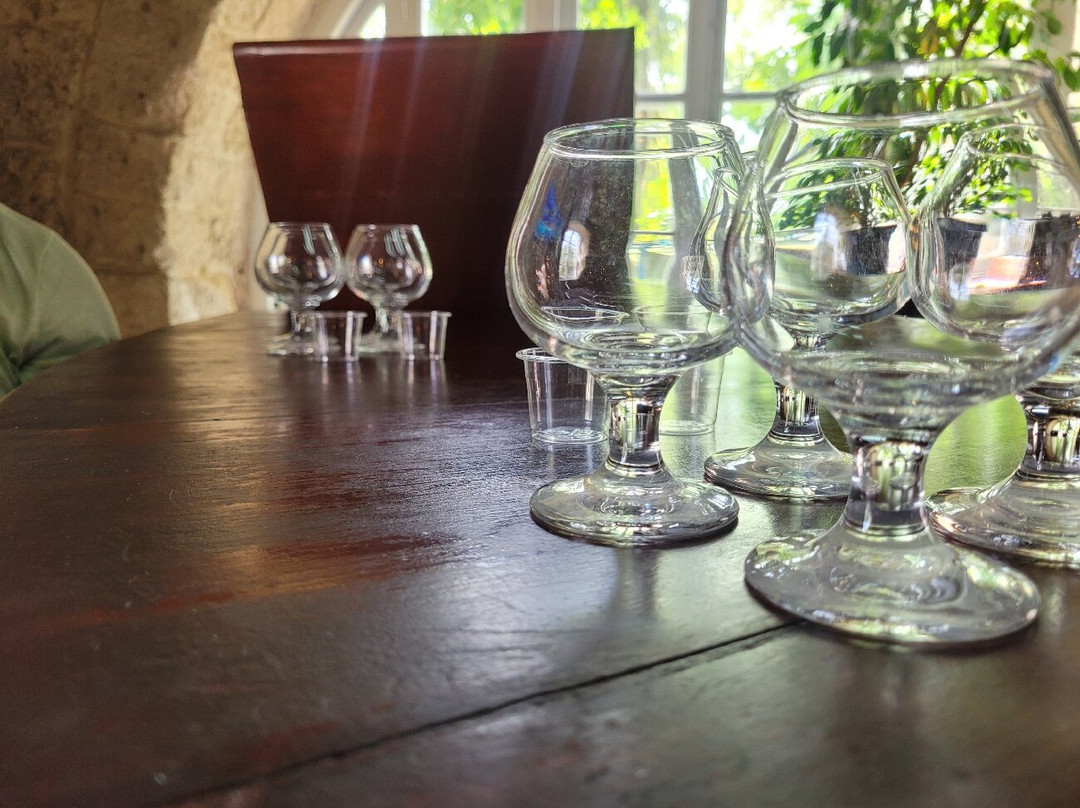 Foursquare Rum Distillery-Saint Philip Parish必去景点