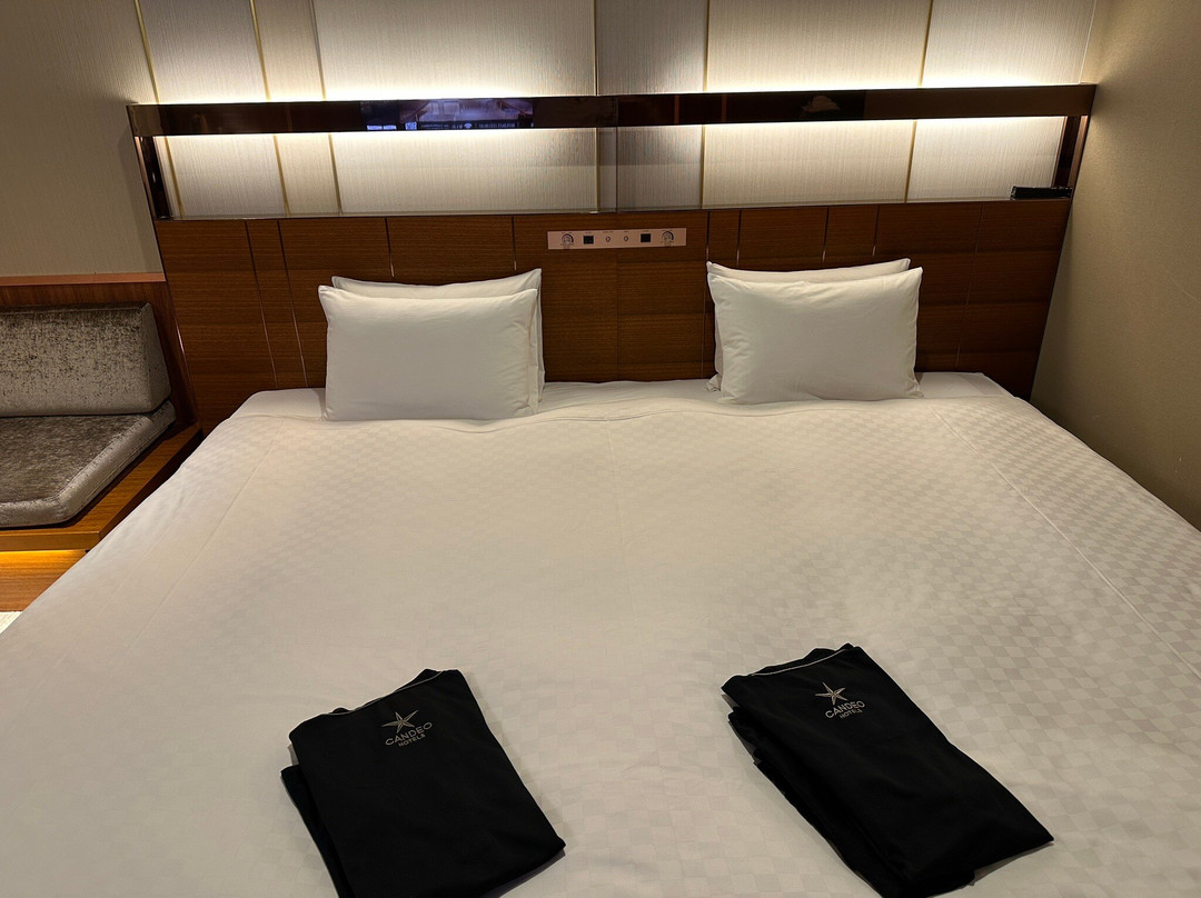 Candeo Hotels Omiya主图