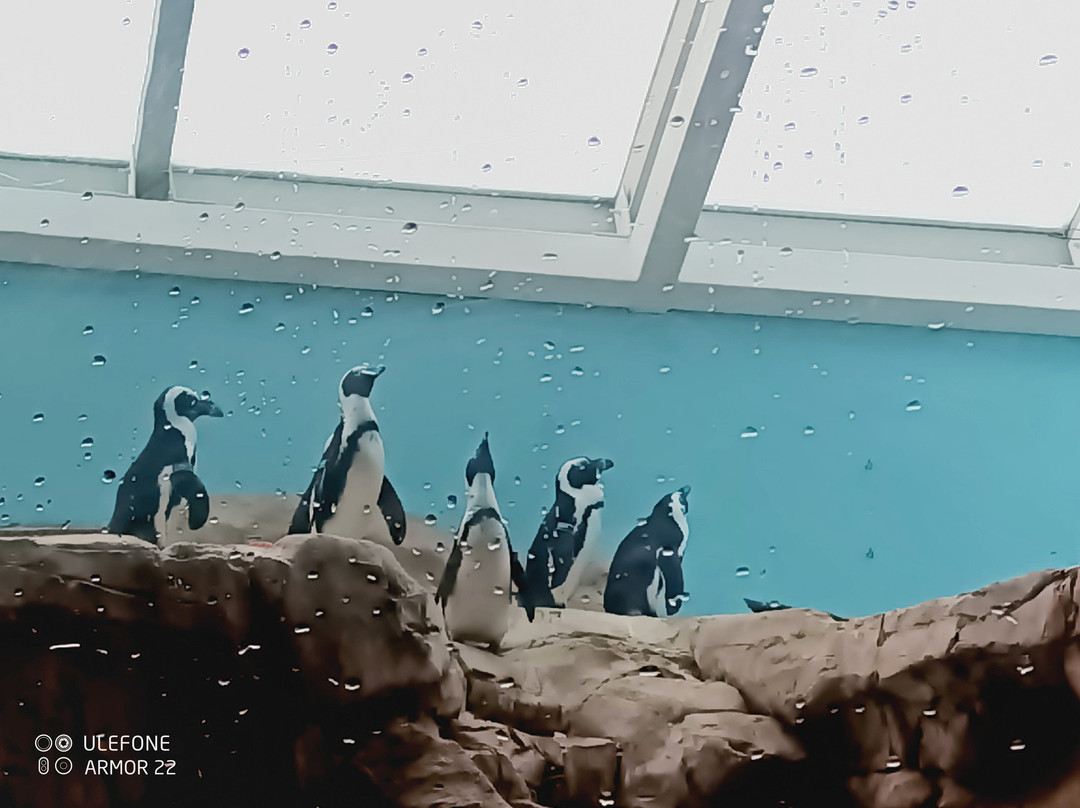 奥杜邦昆虫博物馆-新奥尔良必去景点