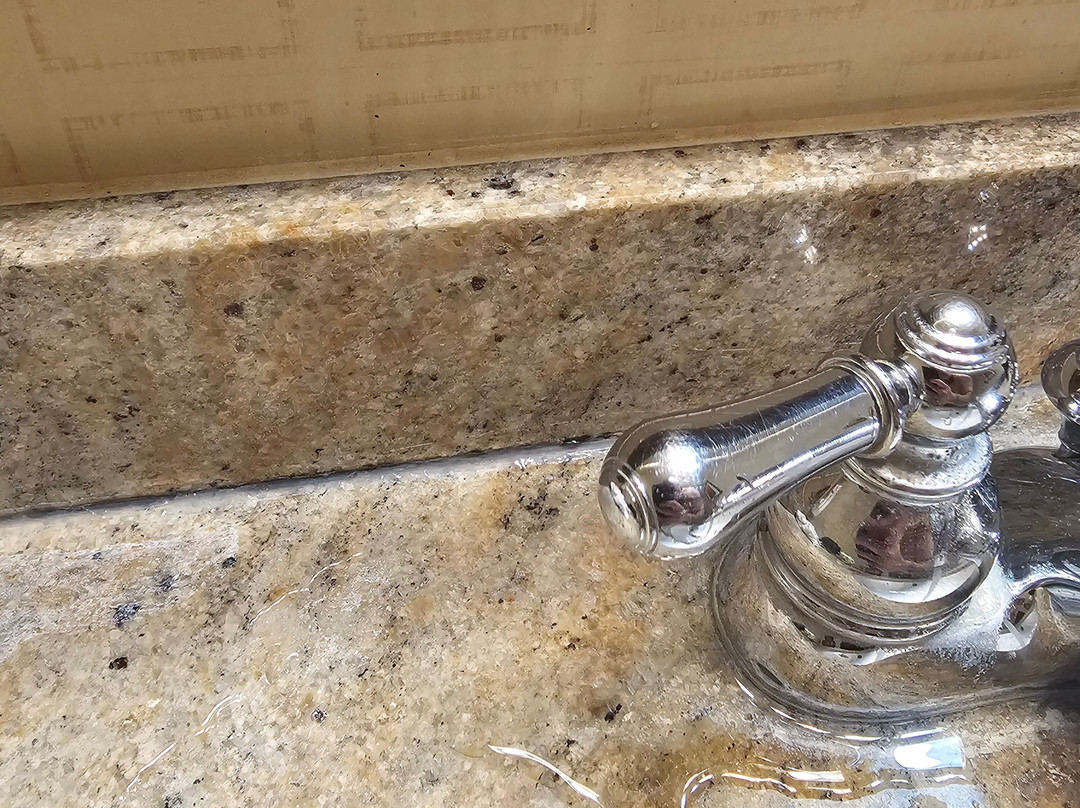 帕西波尼大使套房酒店主图