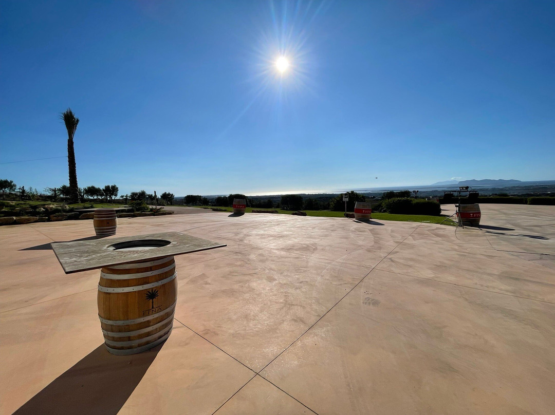 Cantine Fina-马尔萨拉必去景点