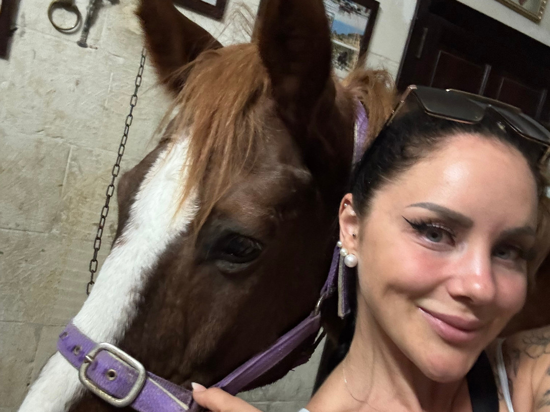 Lino's Stables-Xaghra必去景点