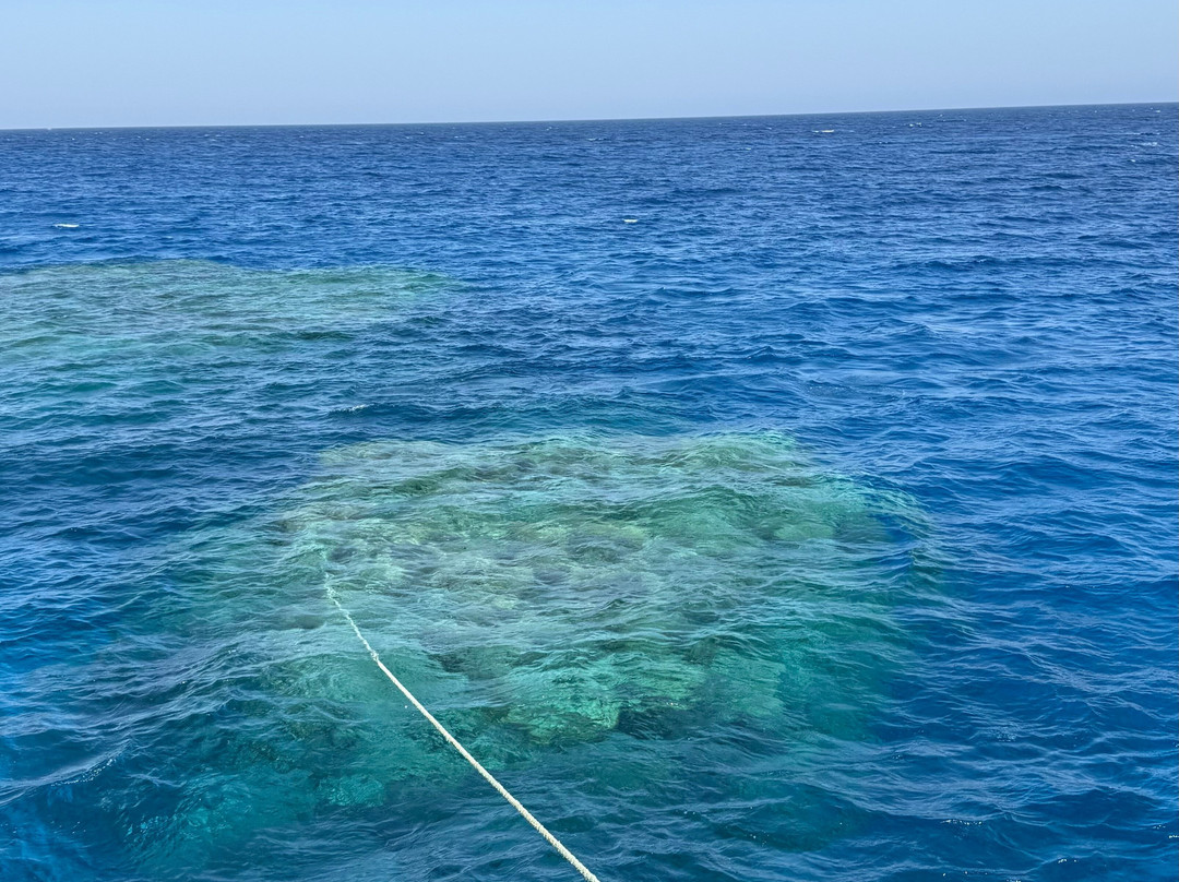 Orca Dive Club Safaga-Safaga必去景点