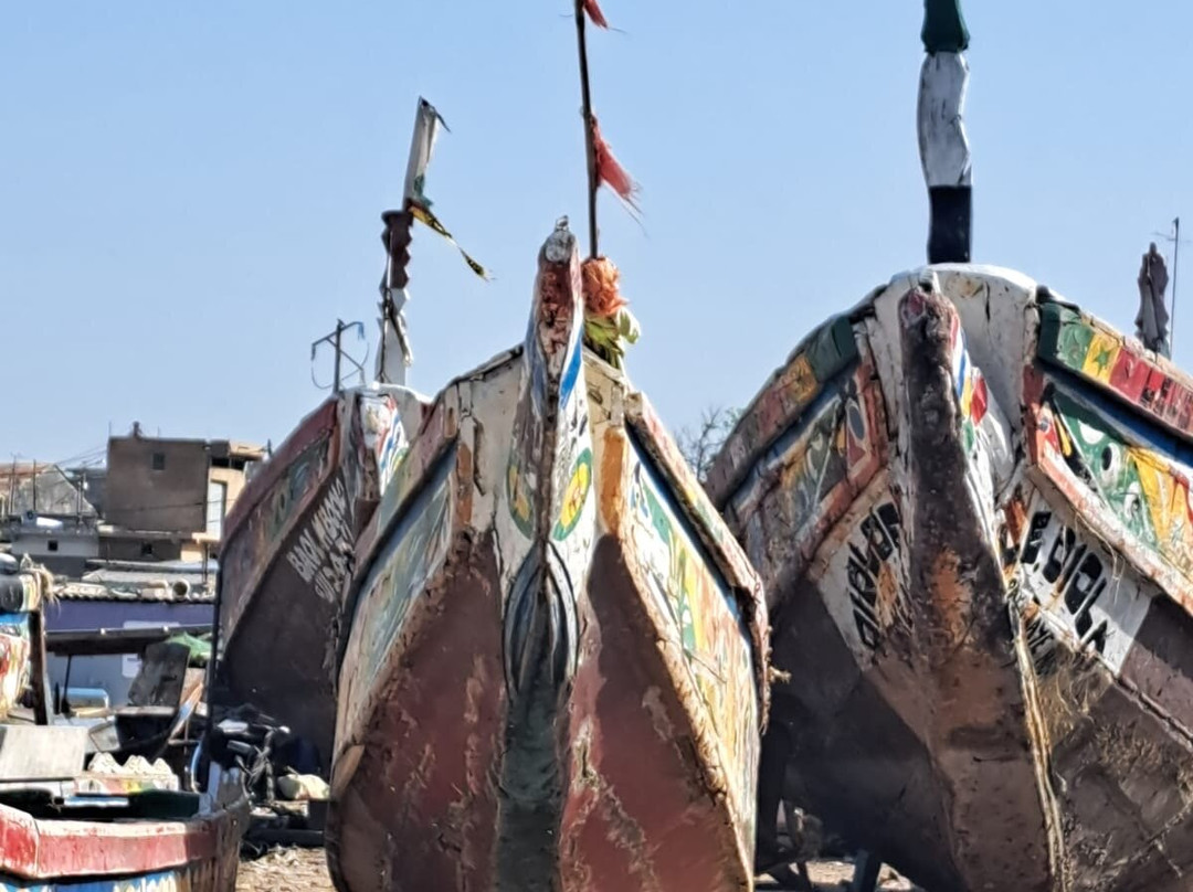 Bacary Tour-Nianing必去景点