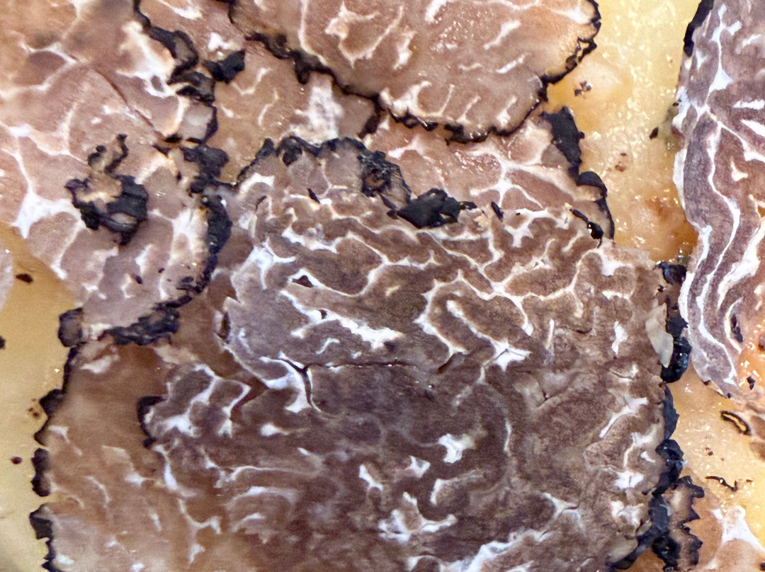 Truffle in Tuscany-圣米尼亚托必去景点