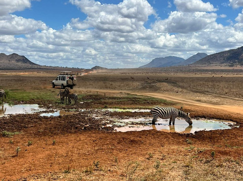 Leopardino Safari-马林地必去景点