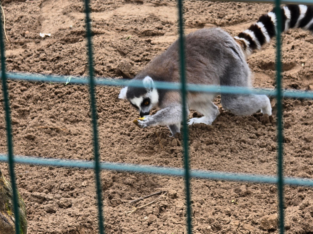 Mablethorpe Seal Sanctuary and Wildlife Centre-Mablethorpe必去景点