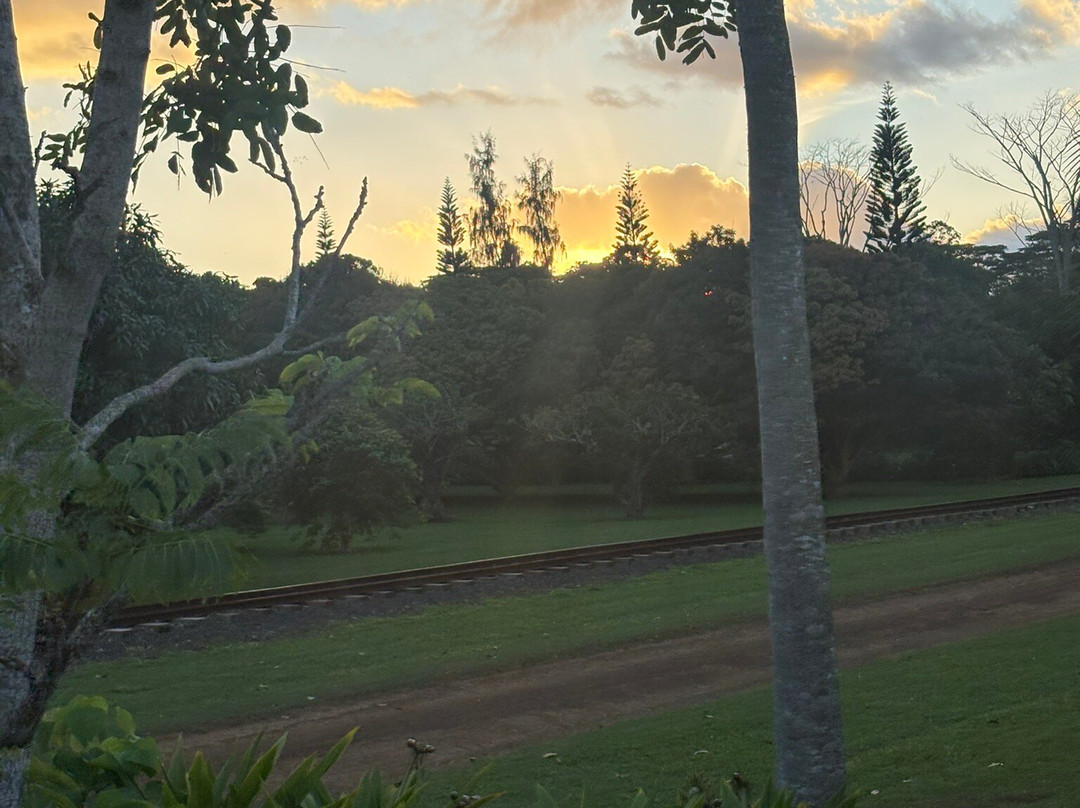 Kauai Plantation Railway-利胡埃必去景点