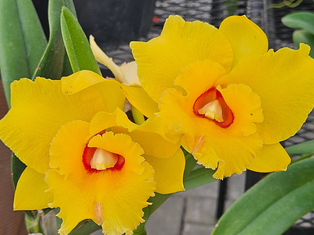 Alma del Bosque-La Ceja必去景点