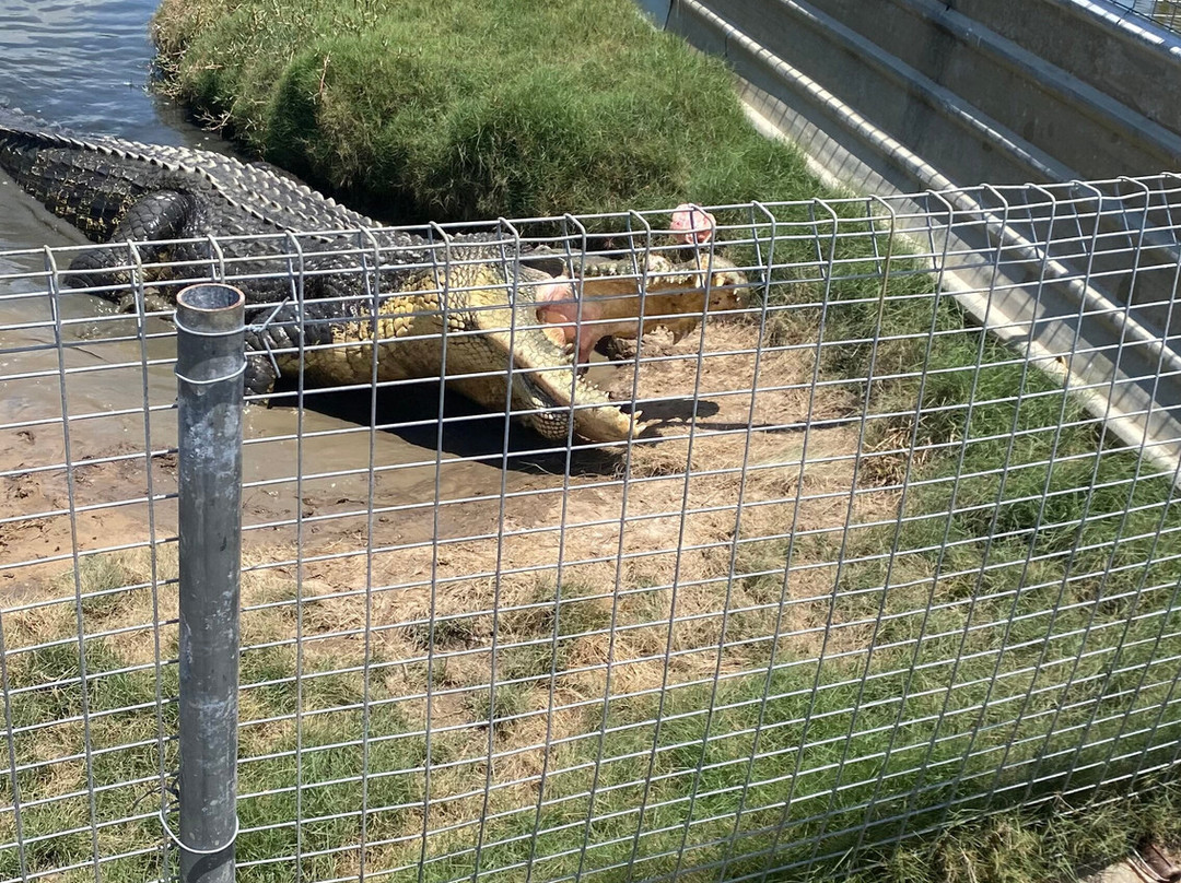 Koorana Crocodile Farm-Coowonga必去景点