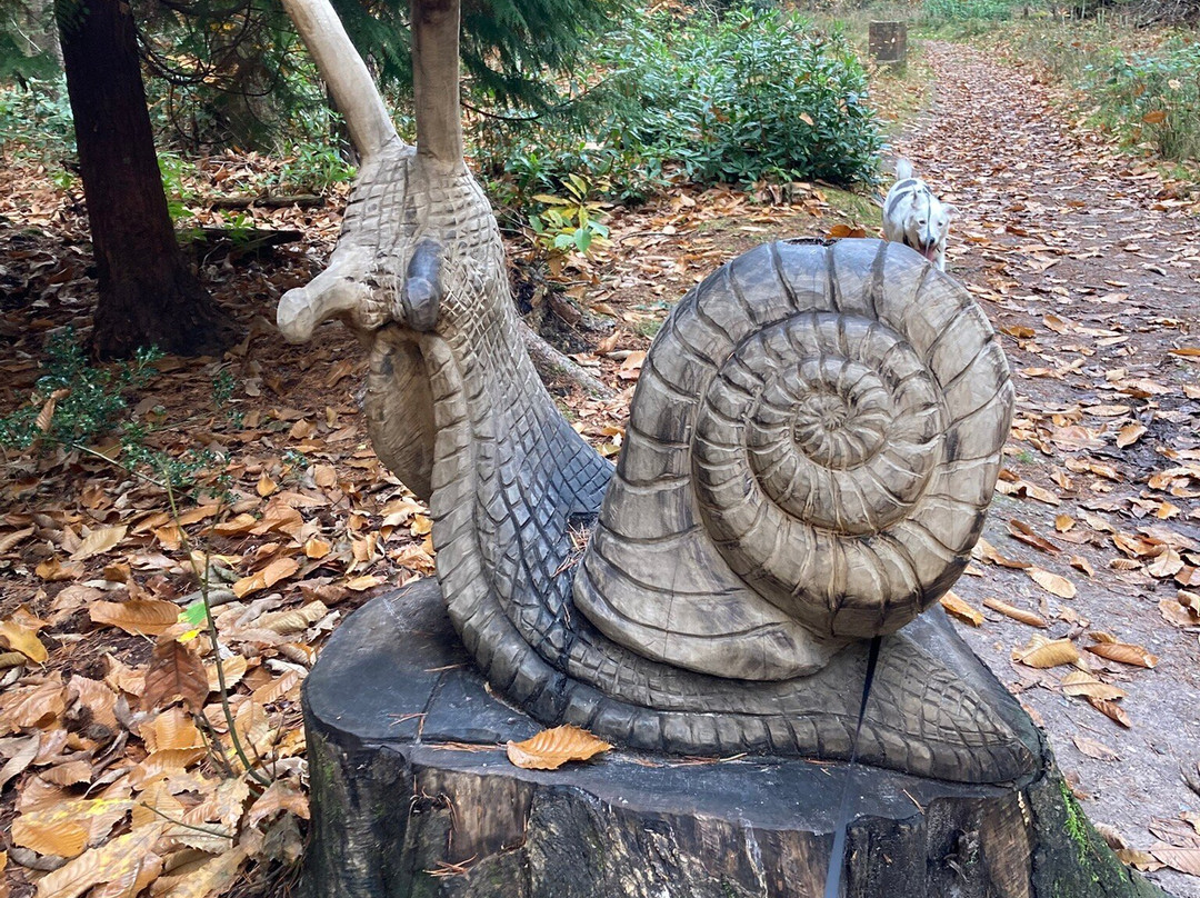 Holt Country Park-诺威奇必去景点