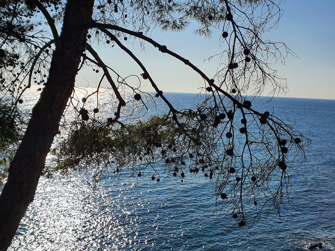 Il Porteghetto Lounge Bar-Cervo必去景点