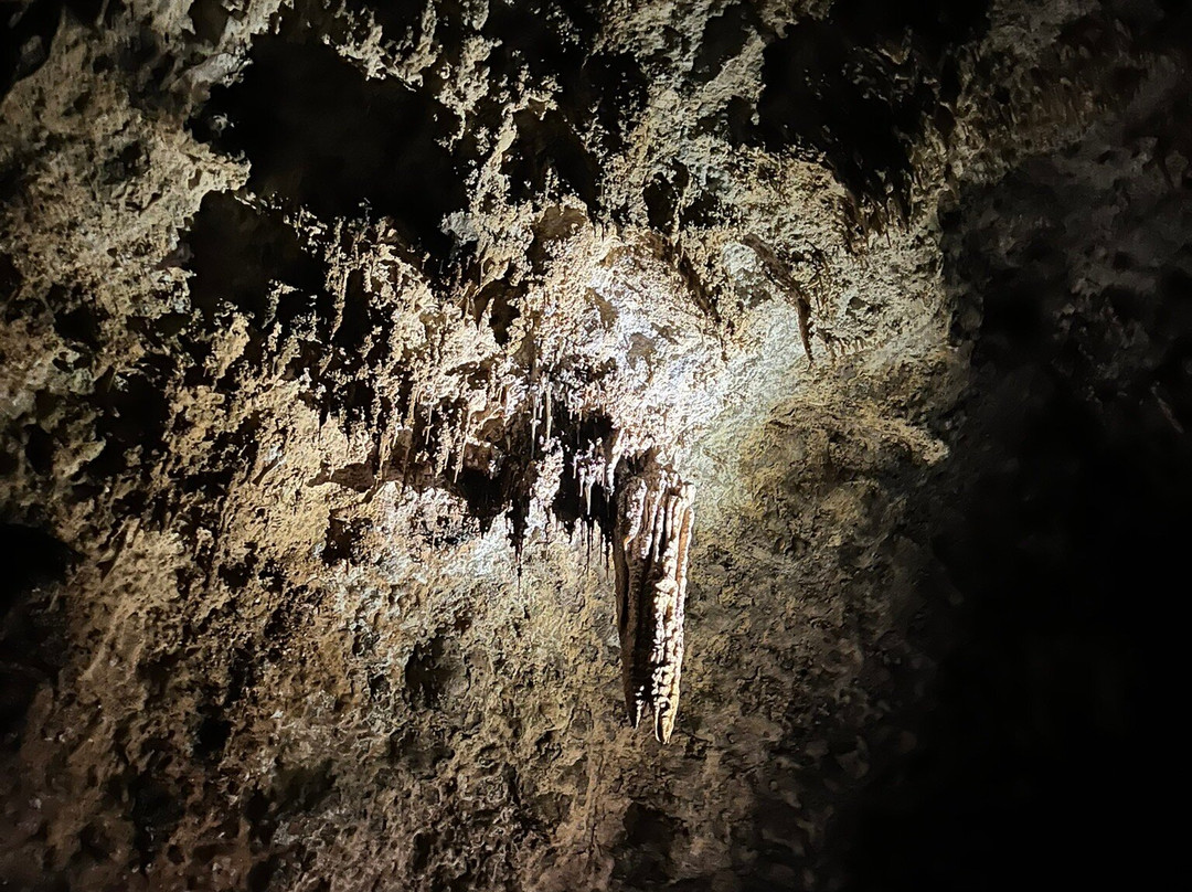 Caverne Patate-罗德里格斯岛必去景点