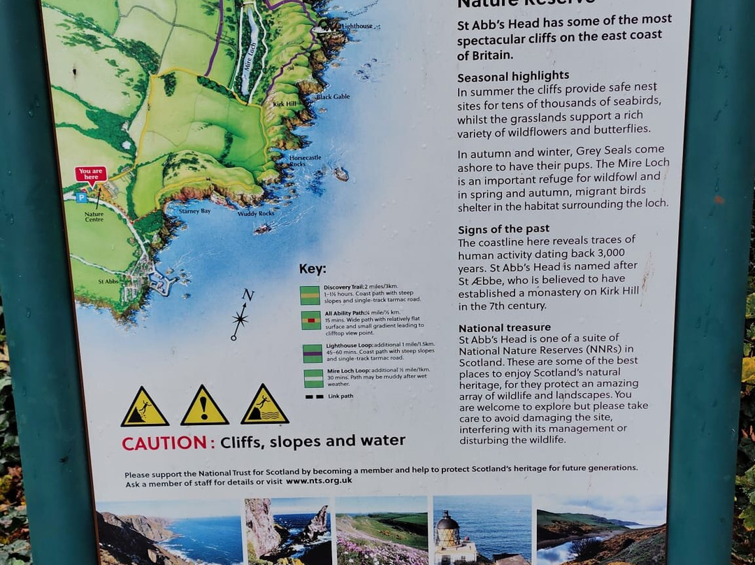 St Abbs Head National Nature Reserve-St Abbs必去景点