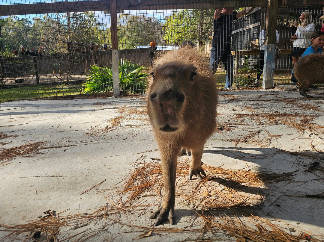 Wild Acres-McHenry必去景点