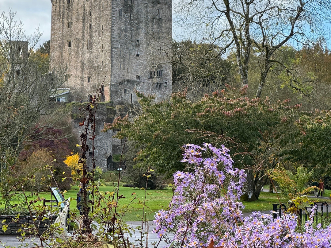 Vagabond Tours-都柏林必去景点