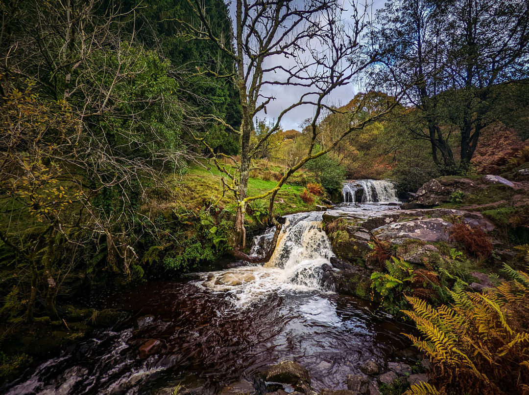 Mill Lodge Brecon Beacons主图