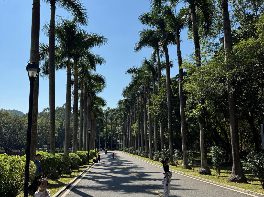 东莞虎英郊野公园-东莞市必去景点