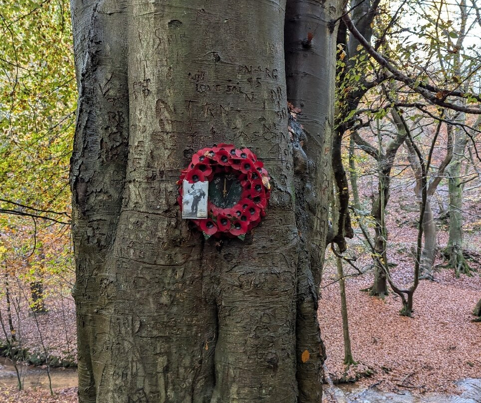 Dimmingsdale-奥尔顿必去景点