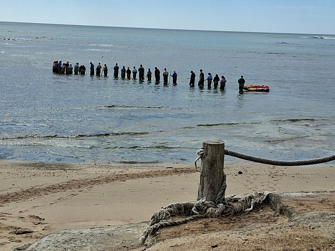 Dive Tatapouri-Gisborne Region必去景点