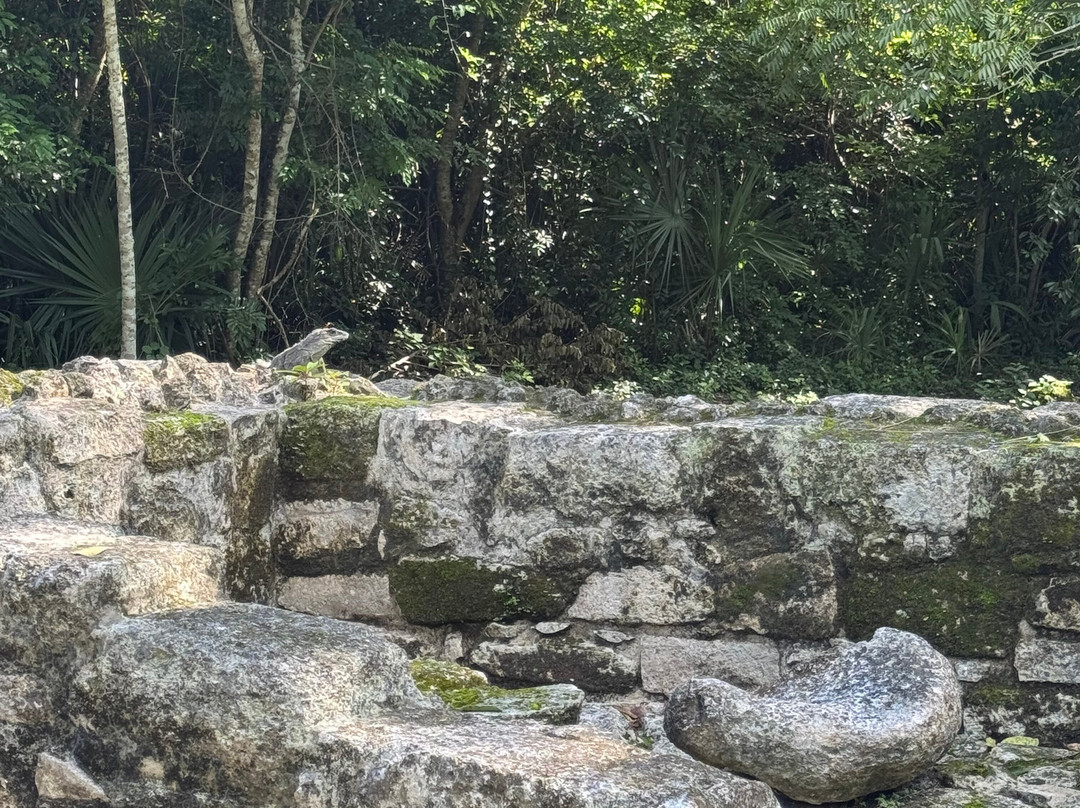 圣赫瓦西奥遗迹-考祖梅必去景点