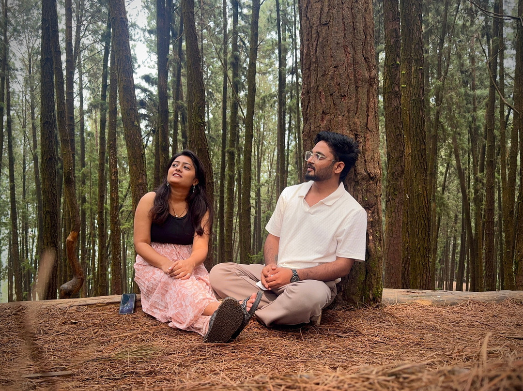 Kochi Taxi 24X7-柯钦必去景点