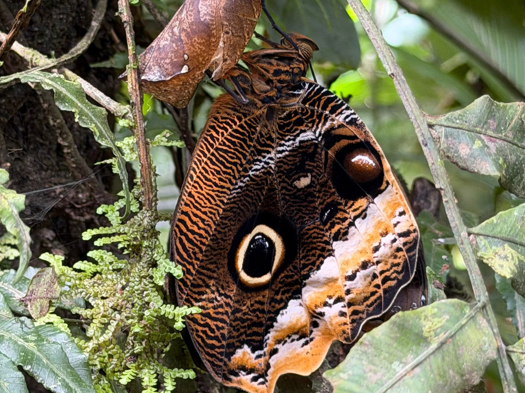 Woodpecker Educational Tours-Canas必去景点