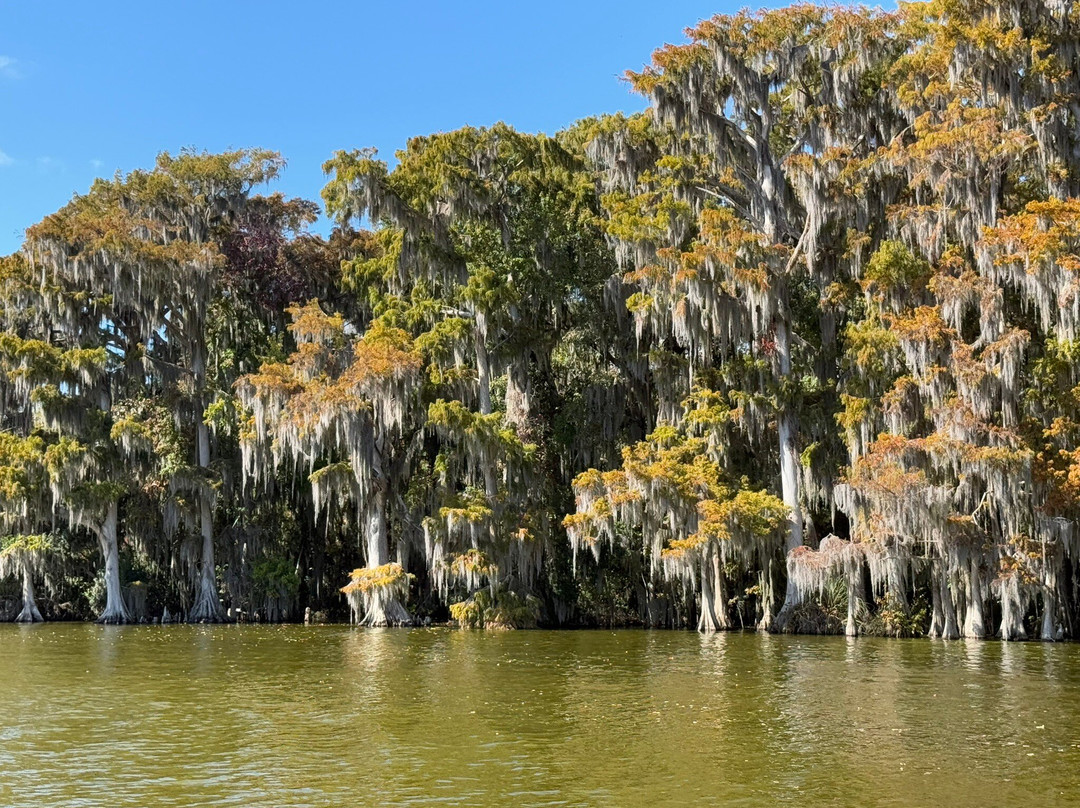Mount Dora Boating Center & Marina-Mount Dora必去景点