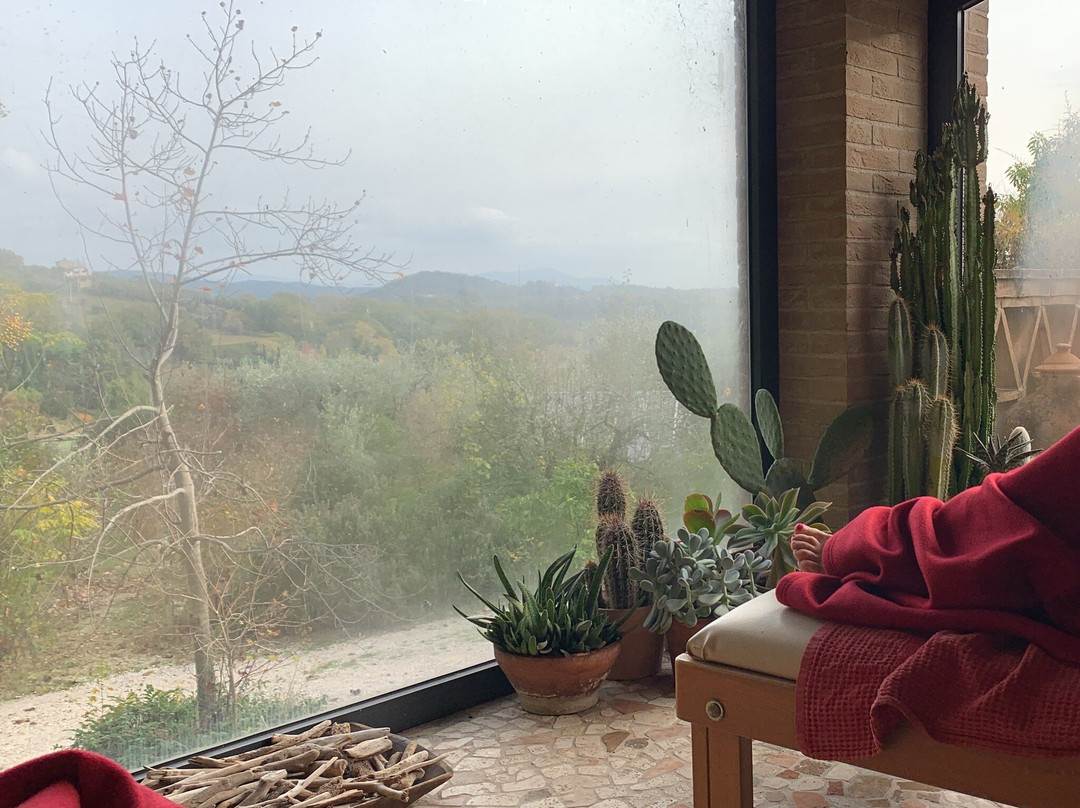 Il Pomario di Montepiglio主图