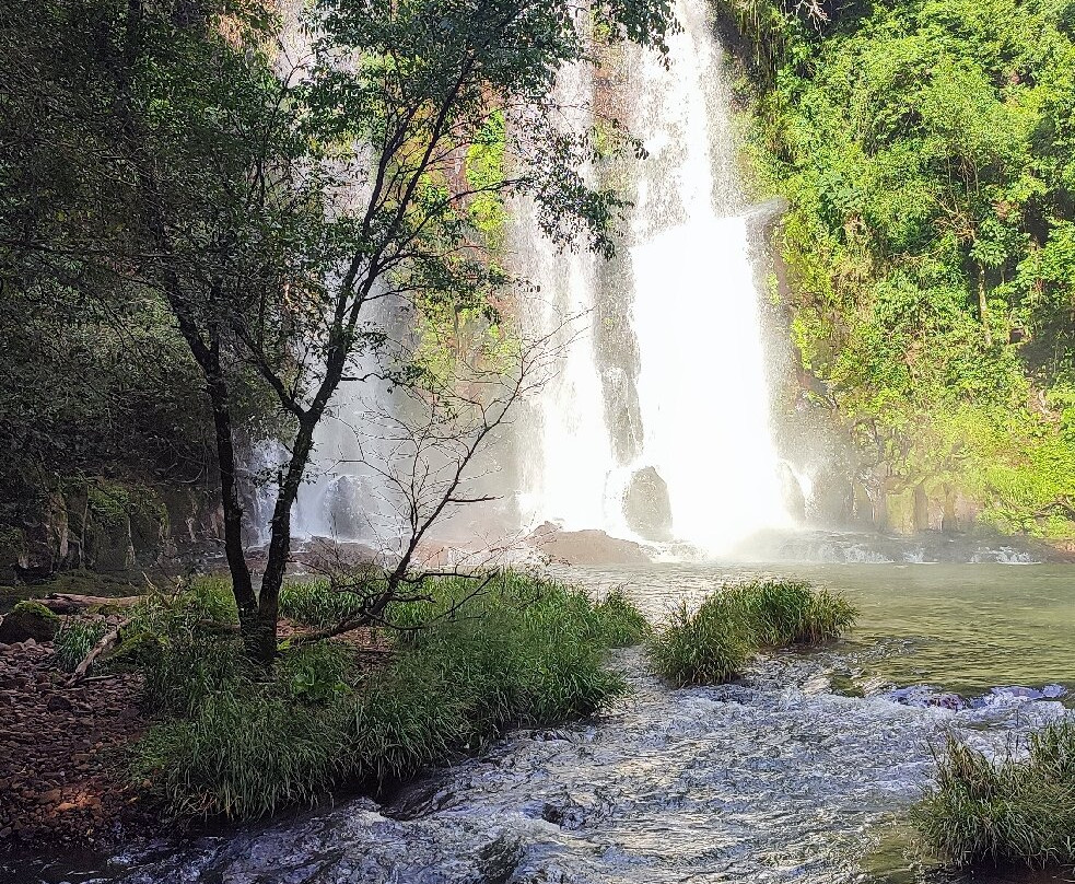 Cachoeira do Chicão-Palma Sola必去景点
