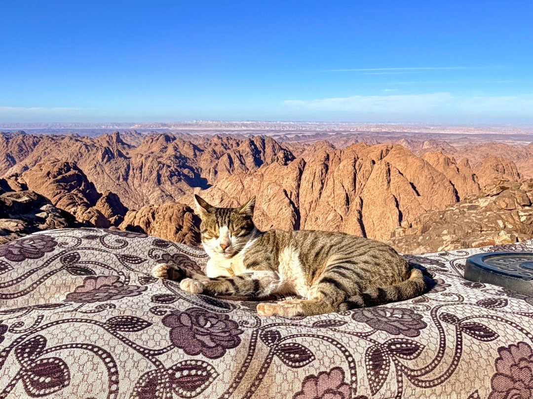 Sinai Hikes-圣卡特琳娜地区必去景点