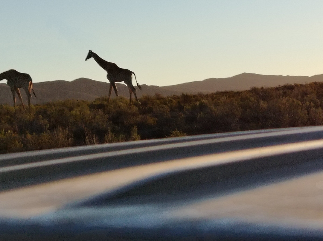 Mont Eco Game Reserve主图