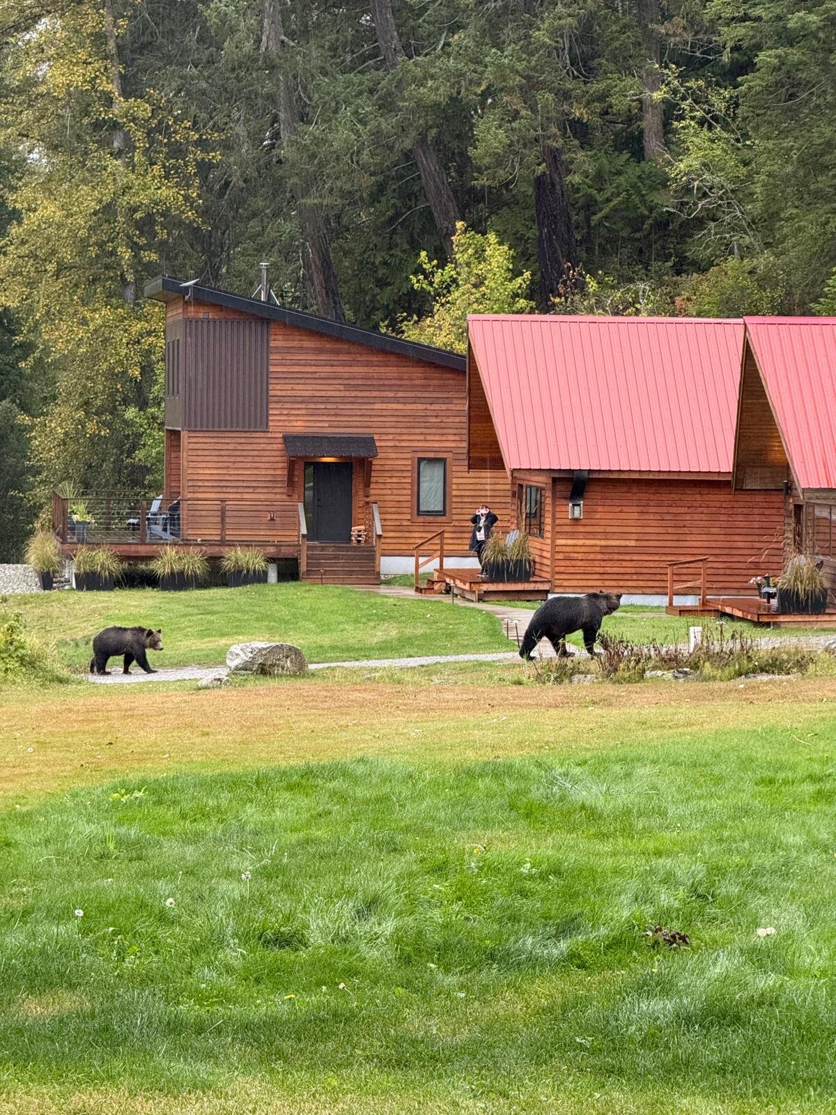 Tweedsmuir Park Lodge-官方