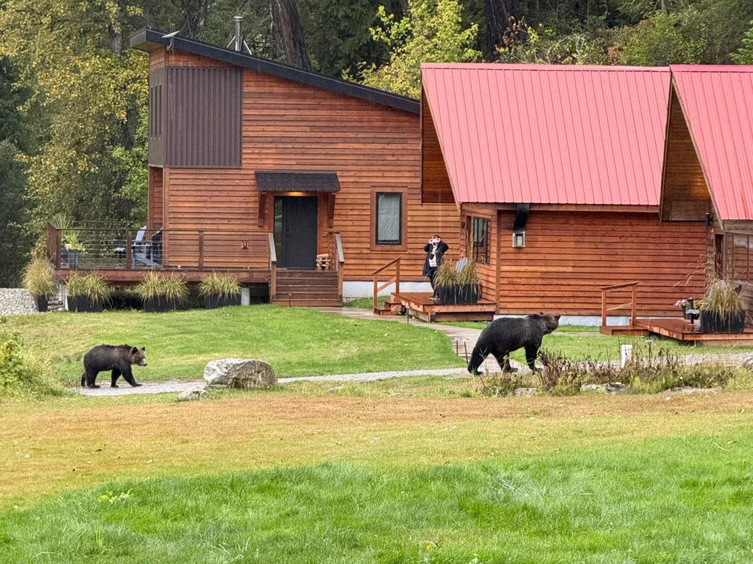 Tweedsmuir Park Lodge主图