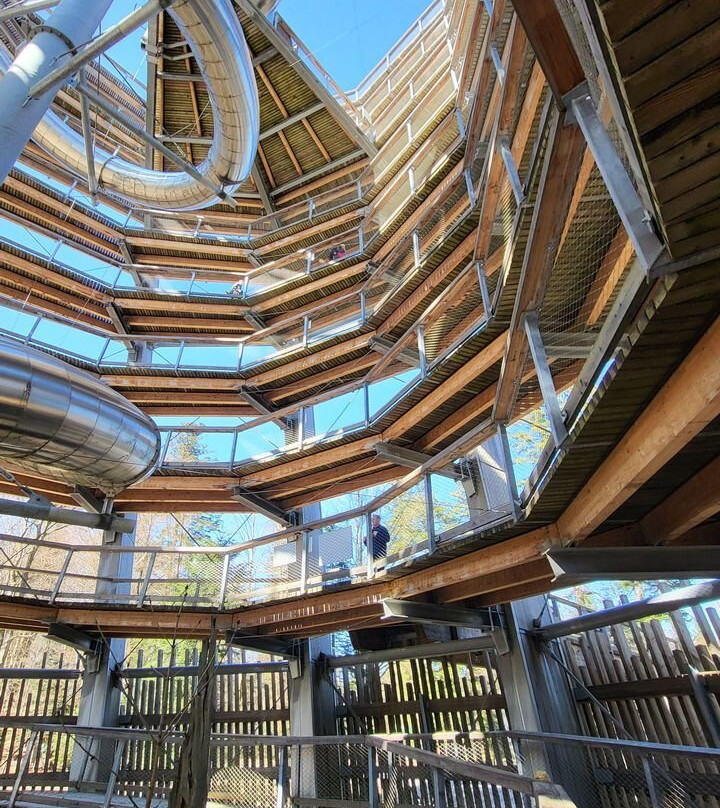 Baumwipfelpfad Schwarzwald-Bad Wildbad必去景点