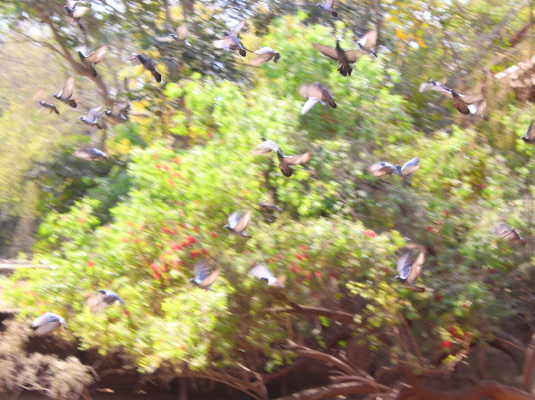 Gandhi Prani Udhyan-瓜廖尔必去景点