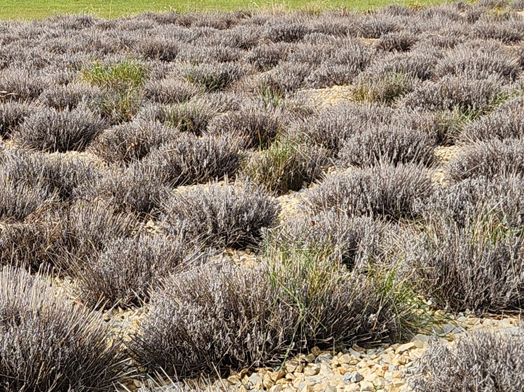 Eagle Eye Farm-River Falls必去景点