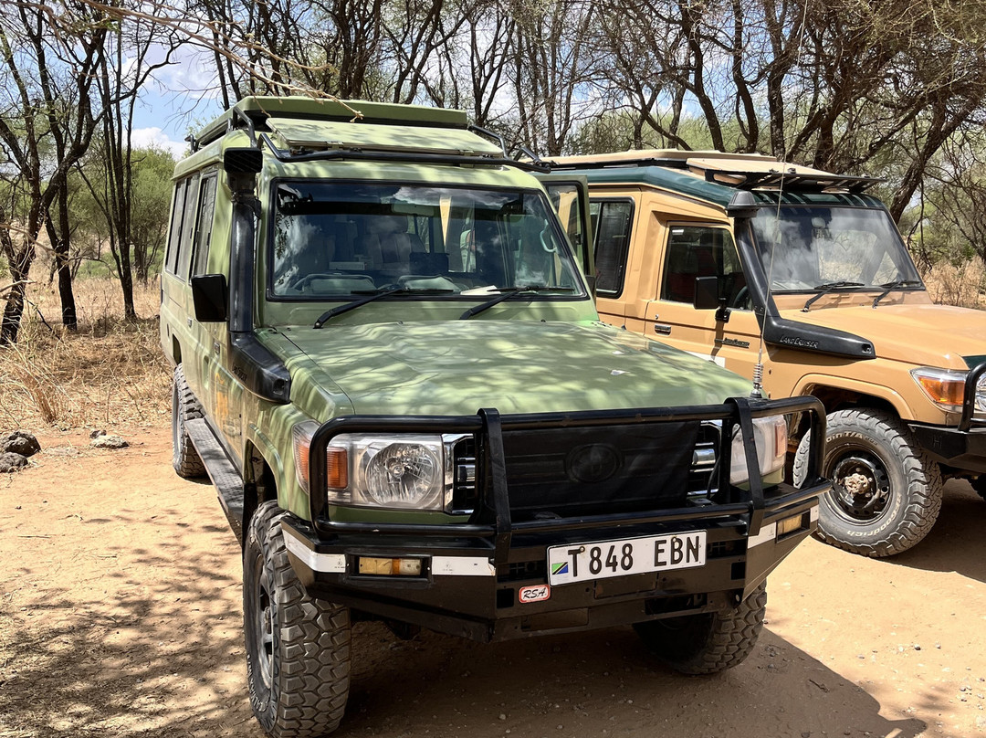 Monkey Adventures-莫西必去景点