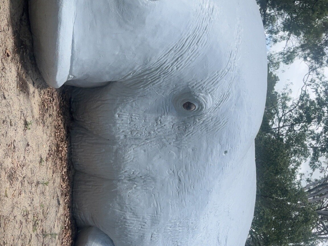 Dreamtime Cultural Centre-罗克汉普顿必去景点