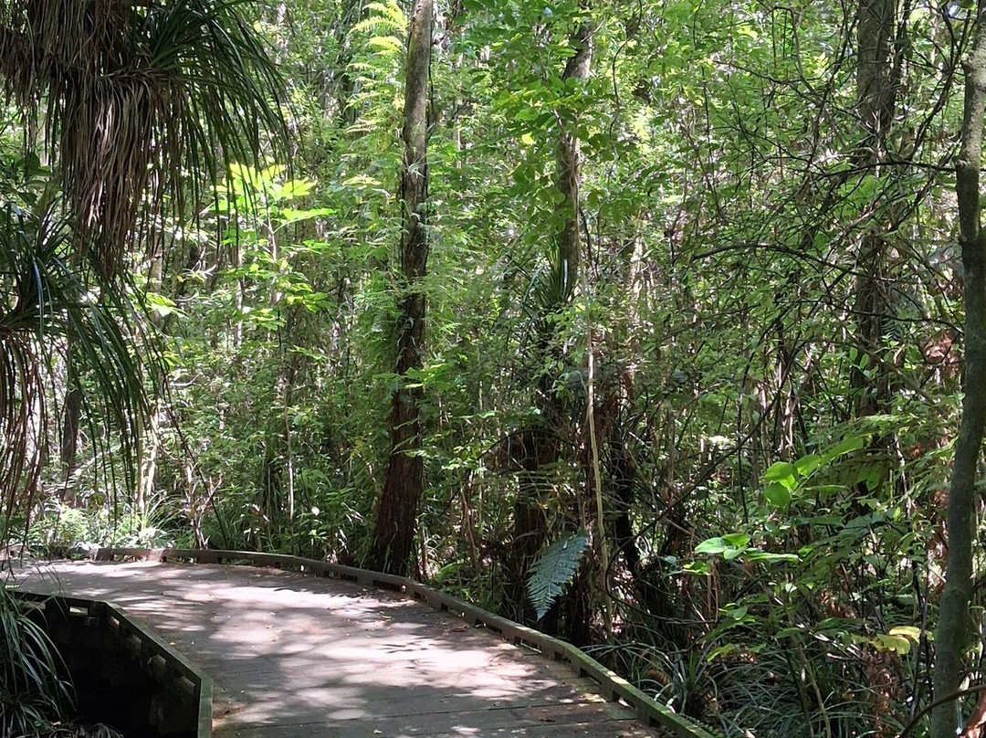 Ngā Manu Nature Reserve-怀卡尼必去景点