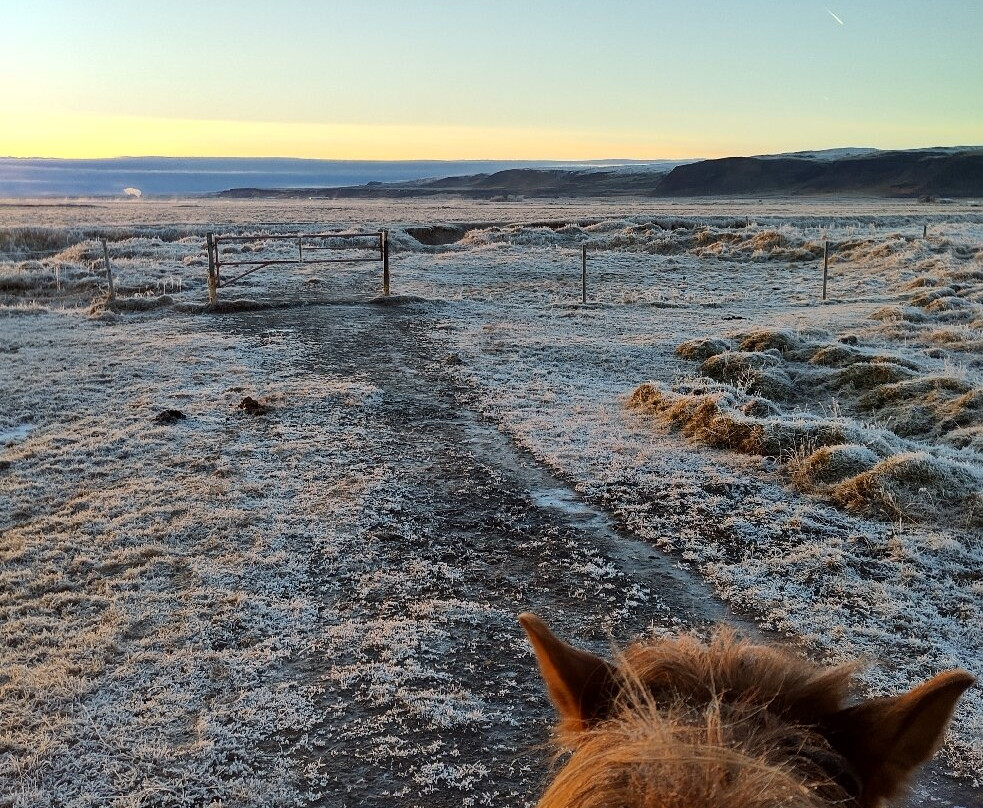 Eldhestar Volcano Horses-Olfus必去景点